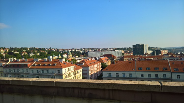 WP_20170614_07_20_13_Rich_LI